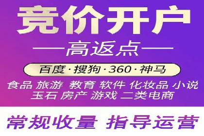 SEM搜索引擎优化：广告创意的策划与执行